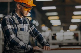 Ecosistema de econexia