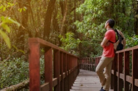 Ecosistema de econexia